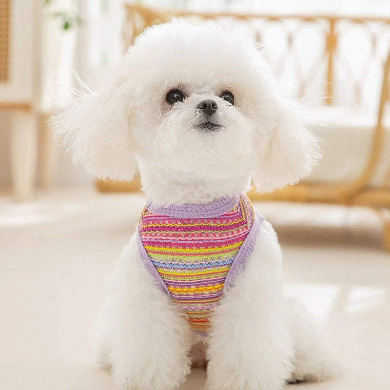 Multicolor Knit Mesh Vest For Dogs & Cats - Breathable Pet Clothing For Teddy, Bichon, And Small Breeds