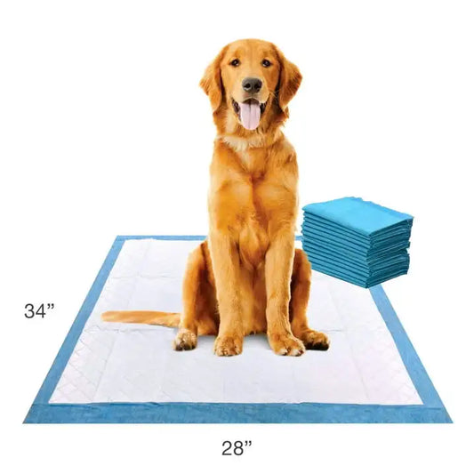Wee Wee Superior Potty Training Dog & Puppy Pads, Pet Pee Pads, X-Large 14 Count