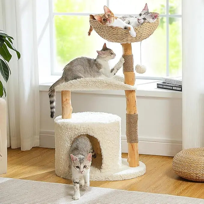 Modern Cat Tree for Large Cats, Wood Cat Tower for Indoor Cats, Real Branch Luxury Cat Furniture with Super Large Cozy Condo
