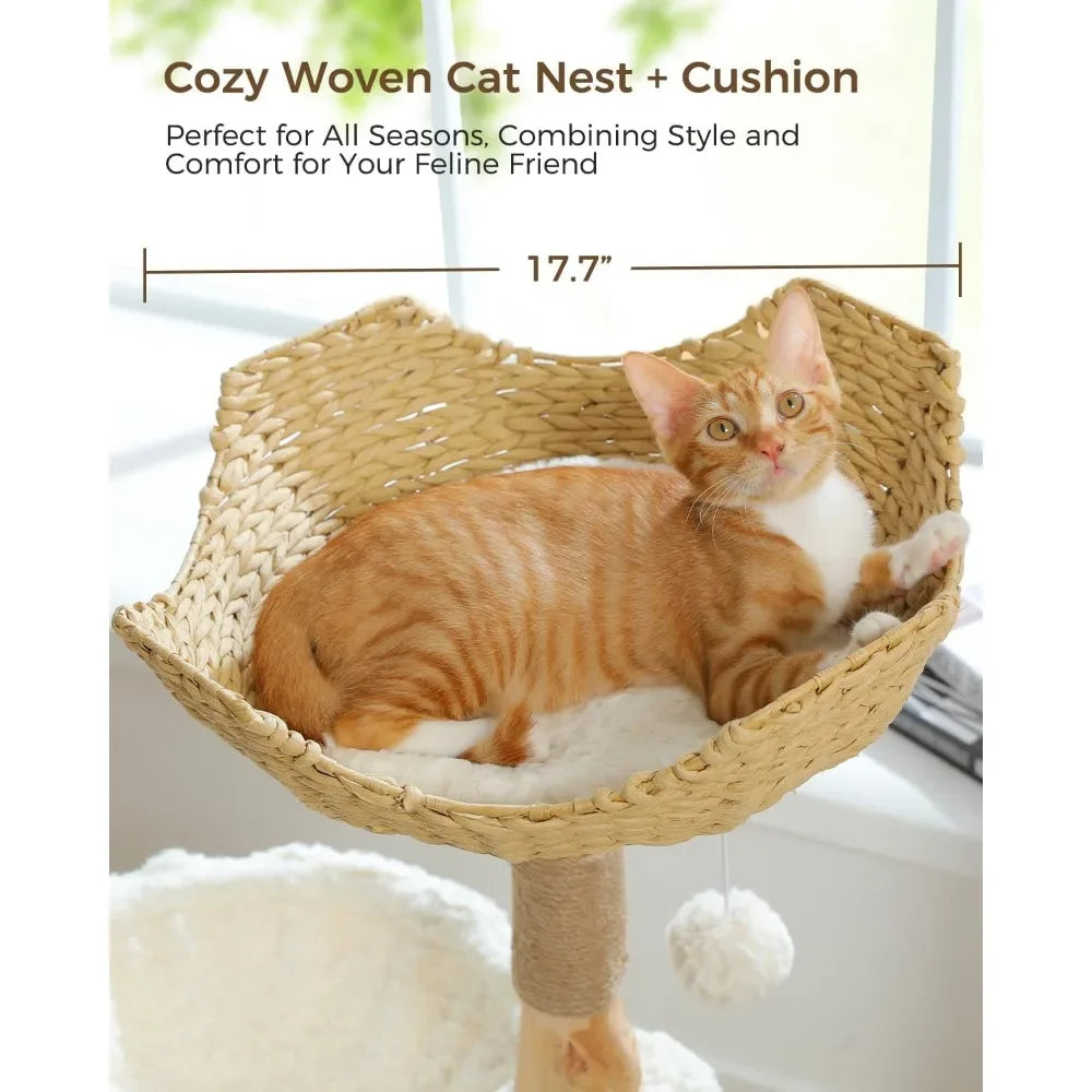 Modern Cat Tree for Large Cats, Wood Cat Tower for Indoor Cats, Real Branch Luxury Cat Furniture with Super Large Cozy Condo