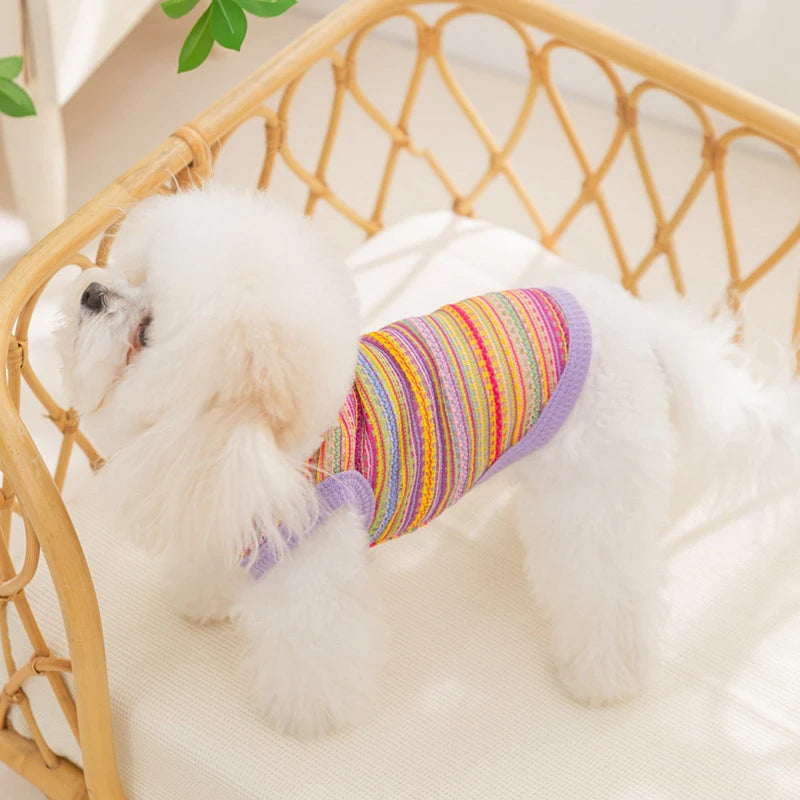 Multicolor Knit Mesh Vest For Dogs & Cats - Breathable Pet Clothing For Teddy, Bichon, And Small Breeds